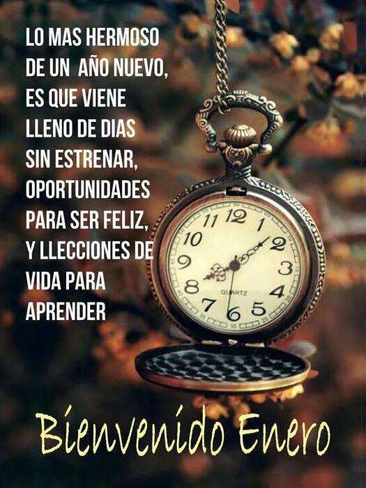 IMG_20260102_111328_597