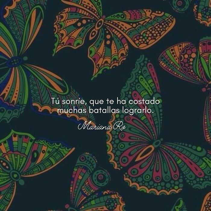 IMG_20251229_204137_693