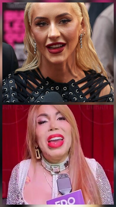 31399ce6e4bd4bc43414fbc5f013a9958bd57440_2_786x1400