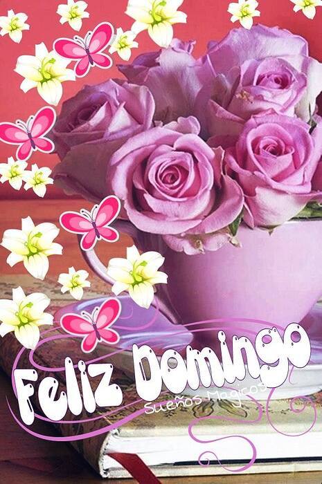 Feliz-Domingo-9