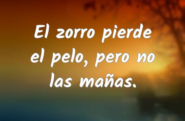 elperro