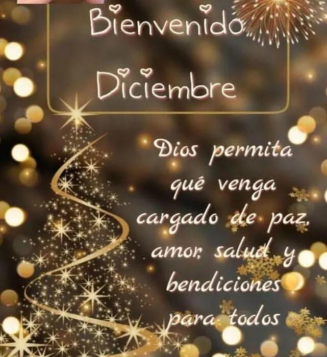 IMG_20251201_062223_583