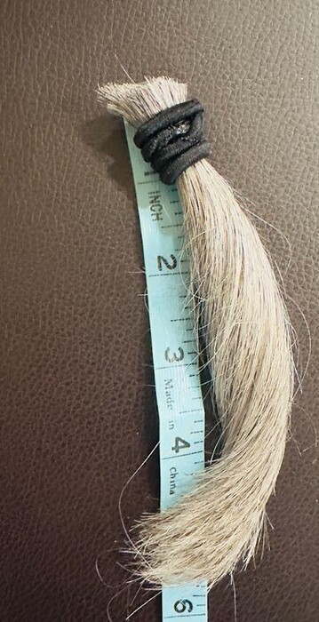 PELO2