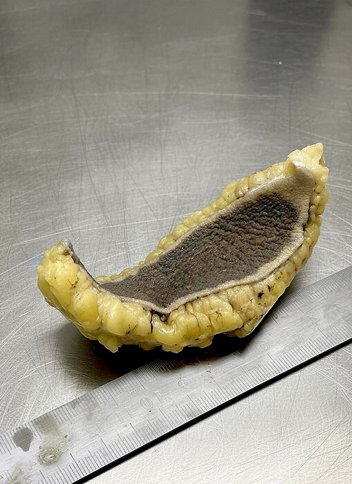 FB_IMG_1767855633628