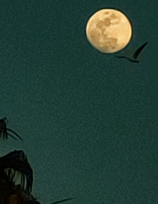 20260302_173138_Gallery