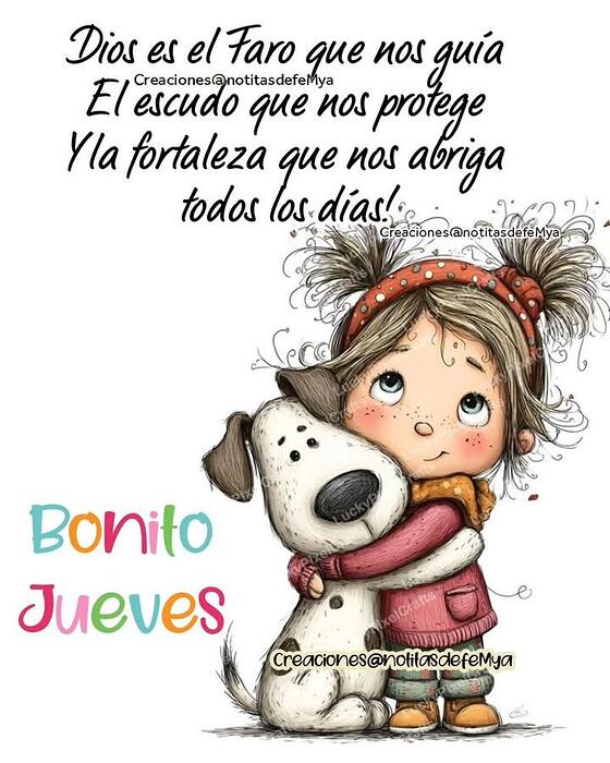 IMG_20260212_081655_473