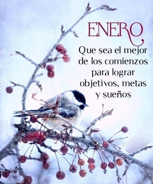 IMG_20260102_111334_537