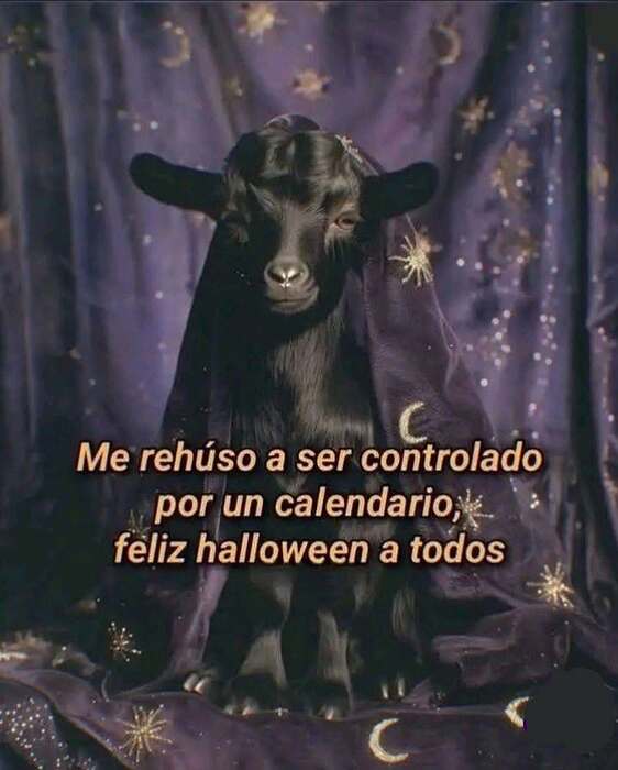 35719