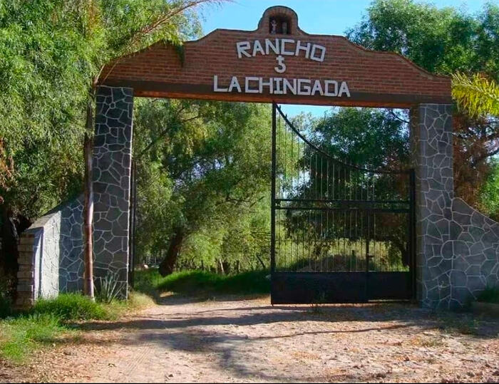 Screenshot_20260203_074930_Samsung Internet