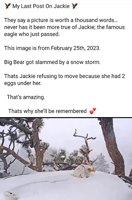Screenshot_20260811_182250_Facebook