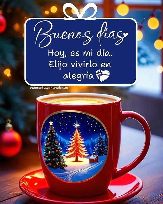 IMG_20251208_085627_673