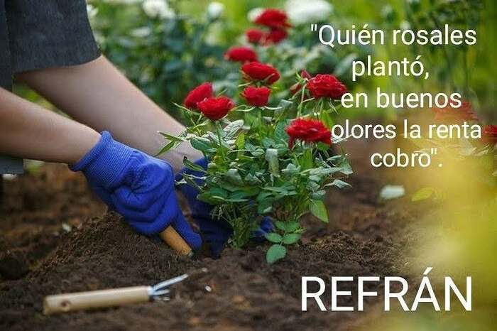 refranes2