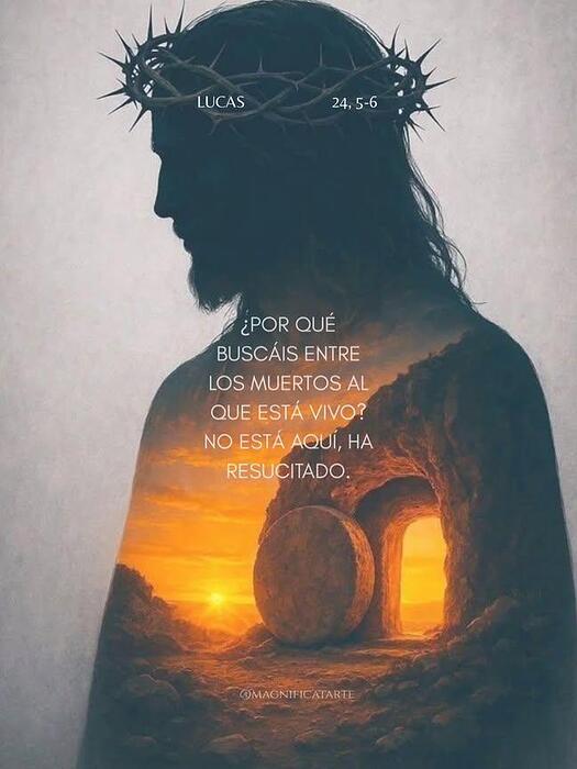 IMG_20260405_102502_078