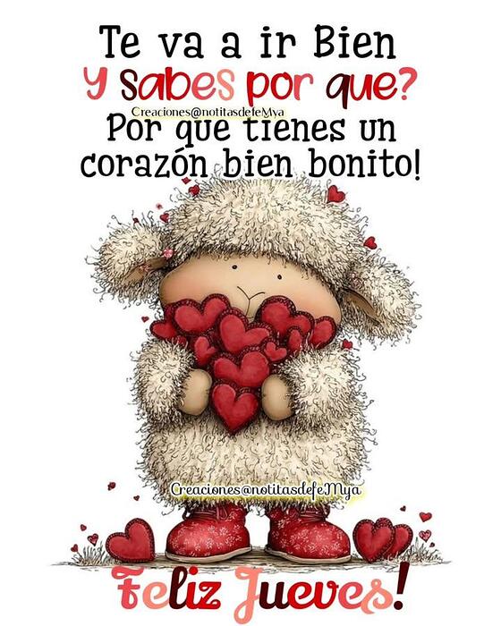 IMG_20260212_081700_991