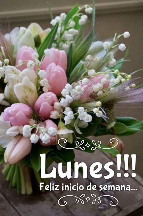 74 Imágenes y Frases Gratis de Feliz Lunes | Imágenes Gratis