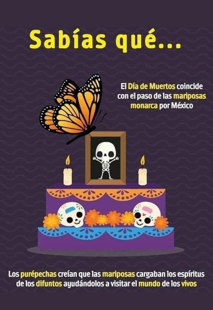 Screenshot_20241009-204747~2