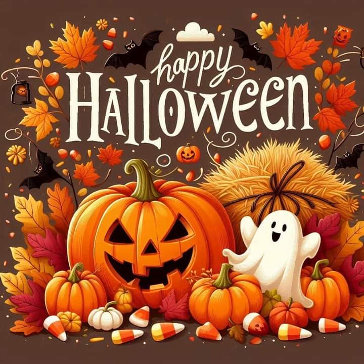 FB_IMG_1730382897101