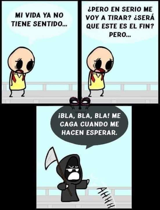 FB_IMG_1717780332456