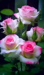 433933806_280911628394887_6742405802988669502_n