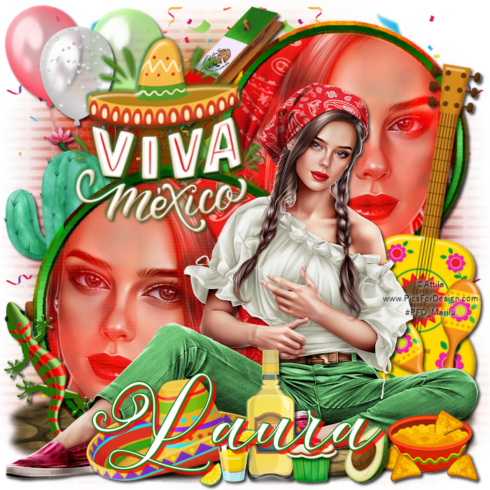 lauravivamexicomarilu00