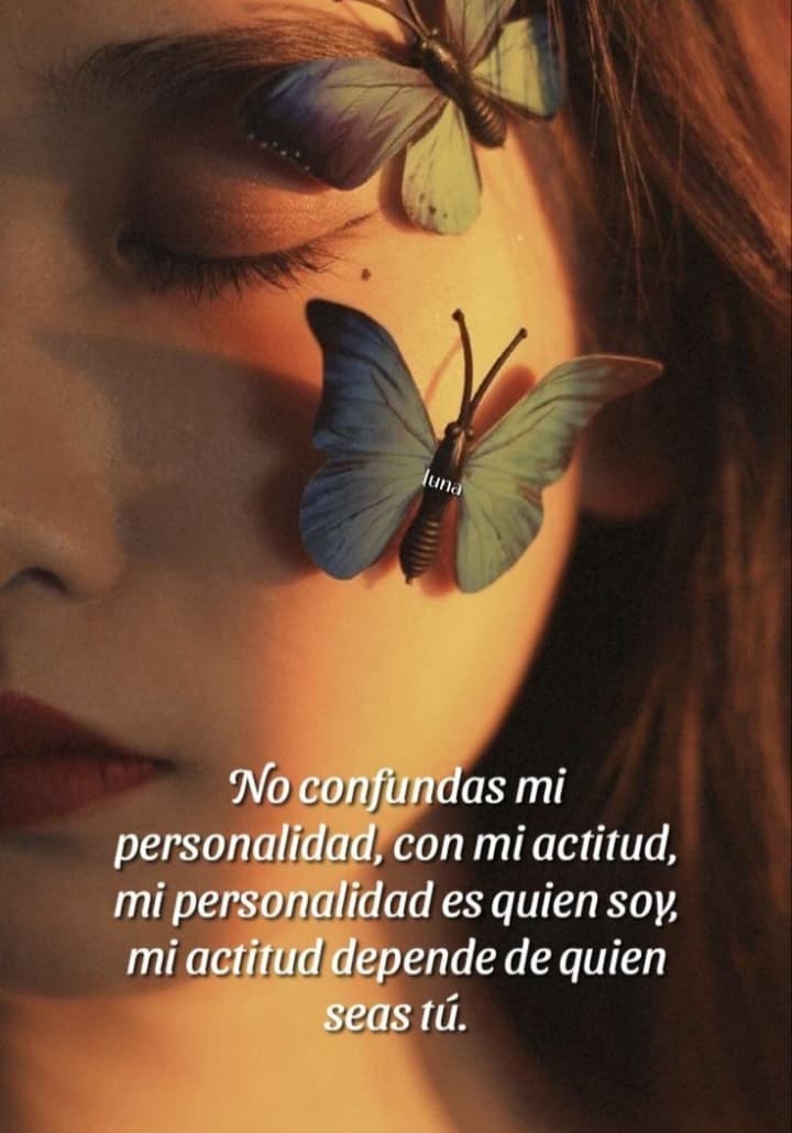 Screenshot_20240731-021912~2