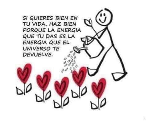 338172897_231490252700743_2327990399184490719_n