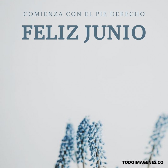 feliz-junio-10