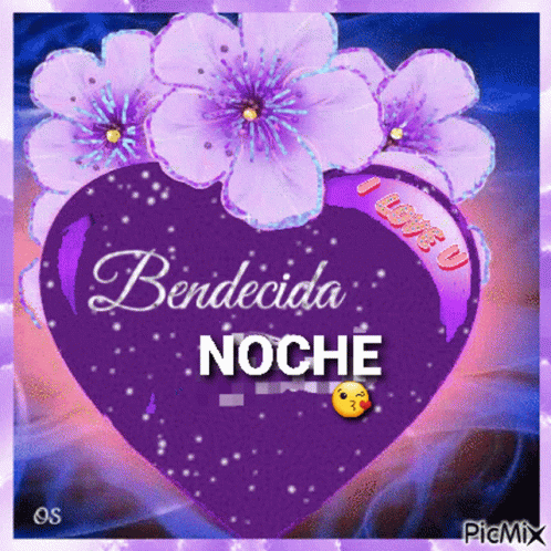nochebendecida
