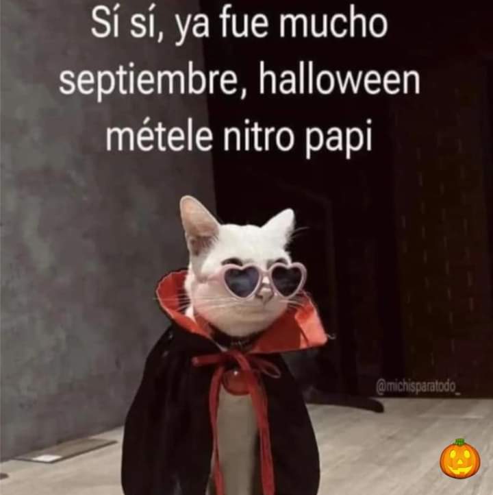 FB_IMG_1727153013030