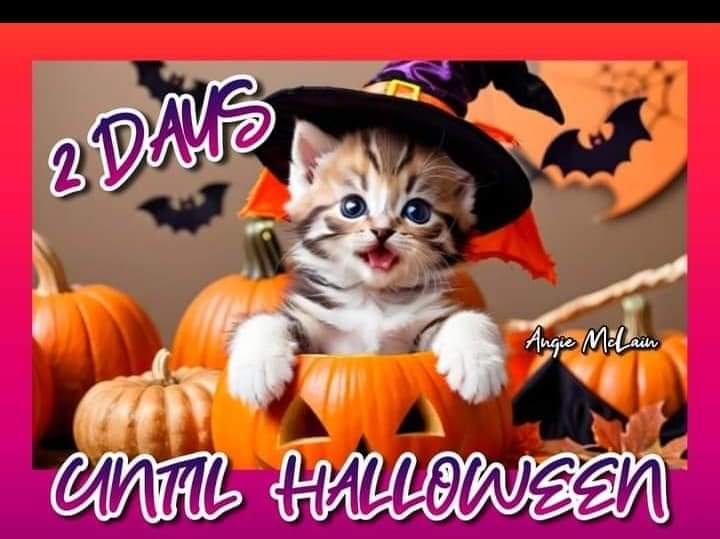 FB_IMG_1730224318578