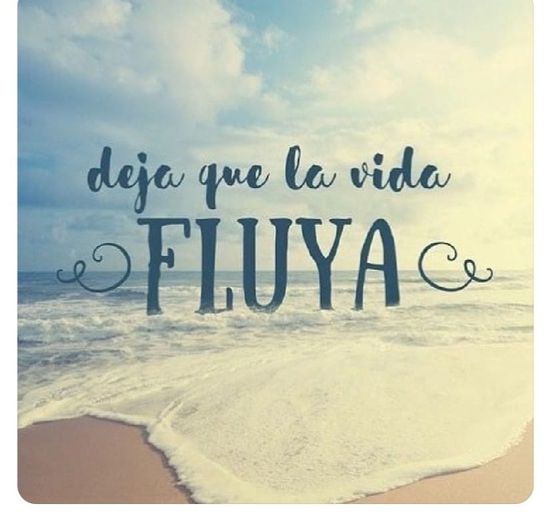 fluya1