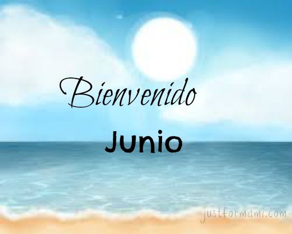 b50b99463e03e34c35b98da77908f144