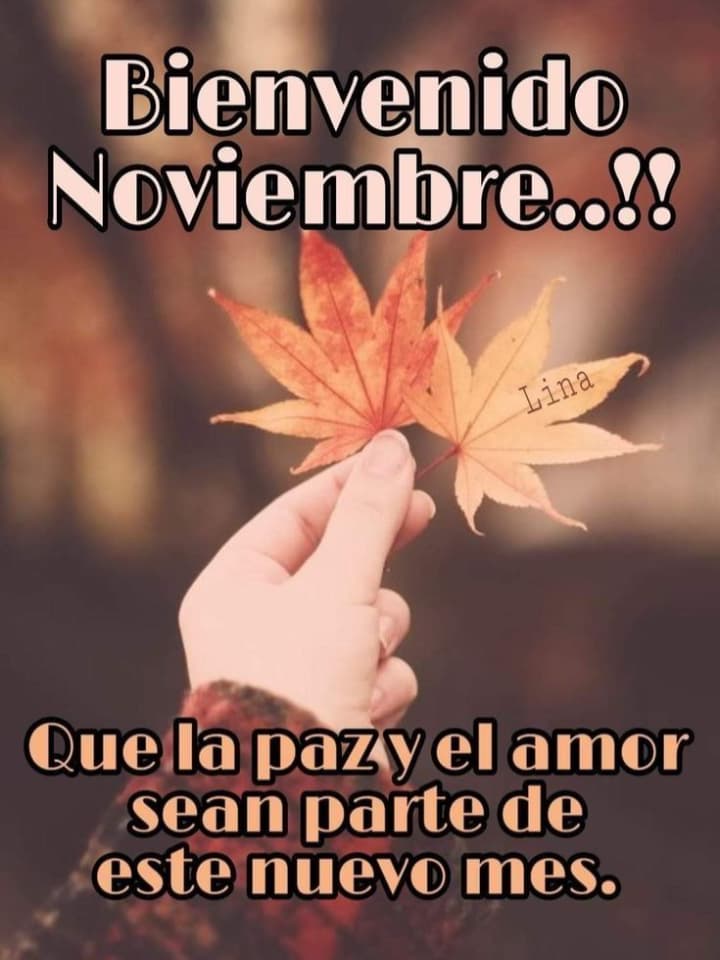 Screenshot_20241101-115139~2