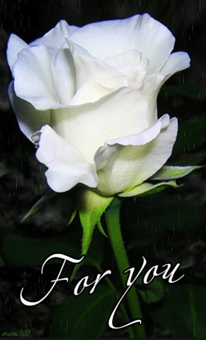 Screenshot_20240113-025533~2