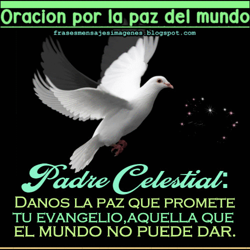 6810381_fadca