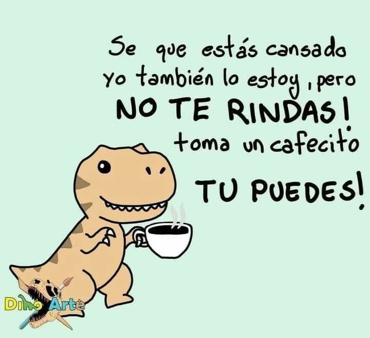 FB_IMG_1748540027688