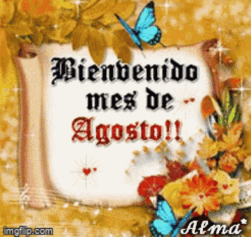 bienvenido-agosto