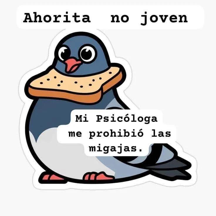 IMG_20251205_091745_570