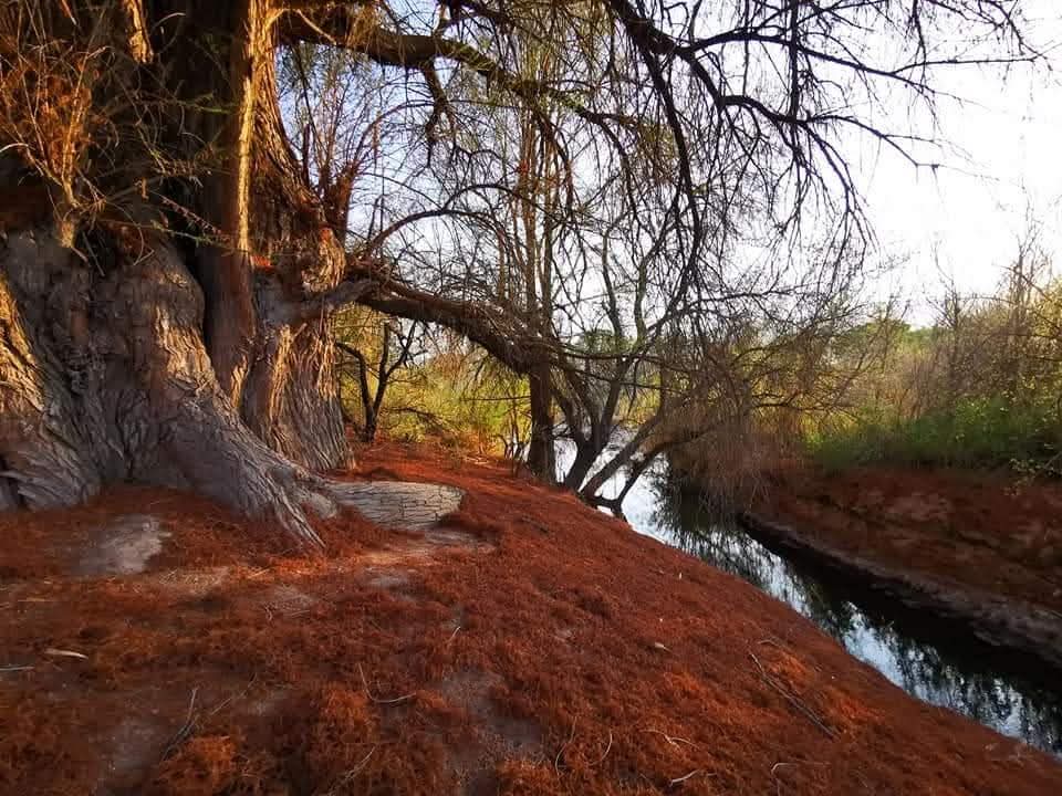 FB_IMG_1753381857242