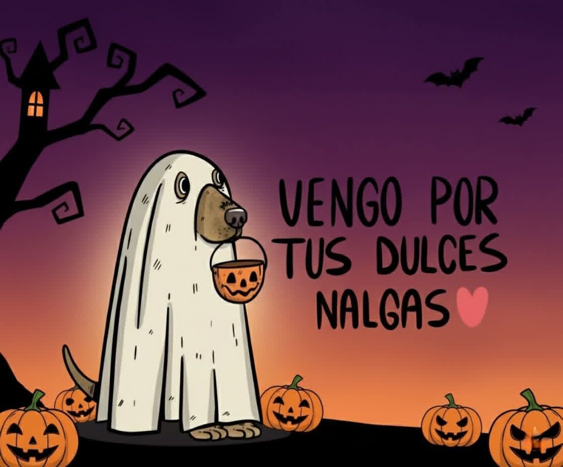 FB_IMG_1759525881015