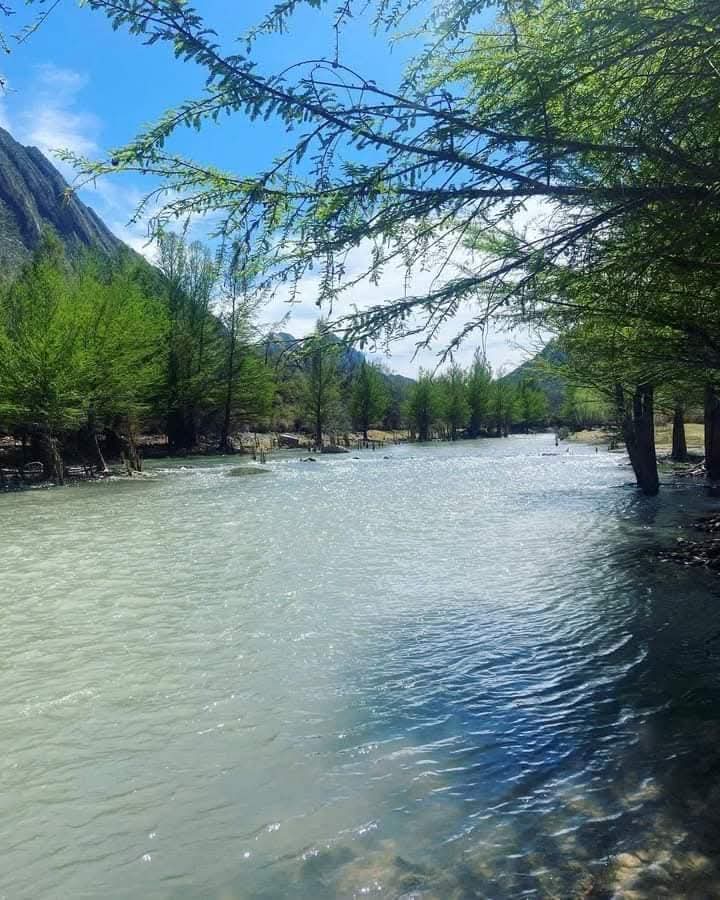 FB_IMG_1753374537633