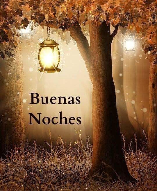 noches15