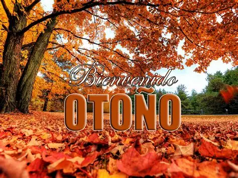 OTO
