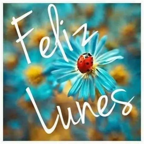 lunes100