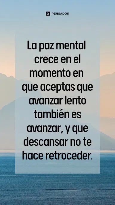 17733485015532496212139247284315