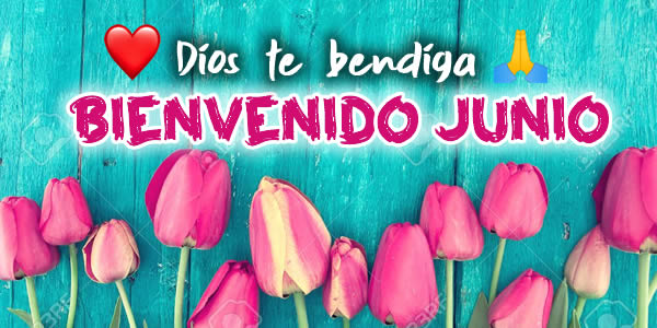 felizjuniofrases