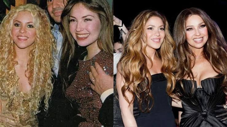 17709974190206825674012844745135