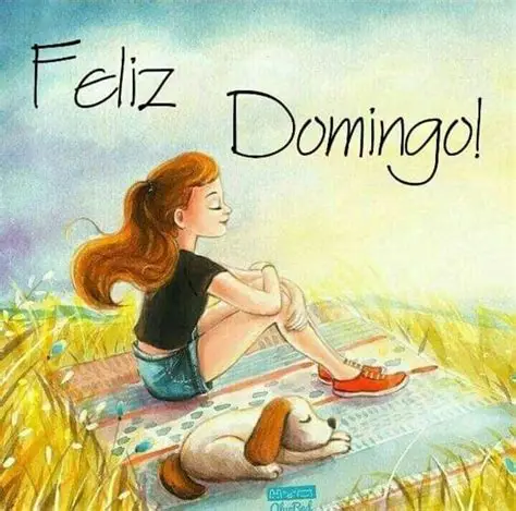 felizdo