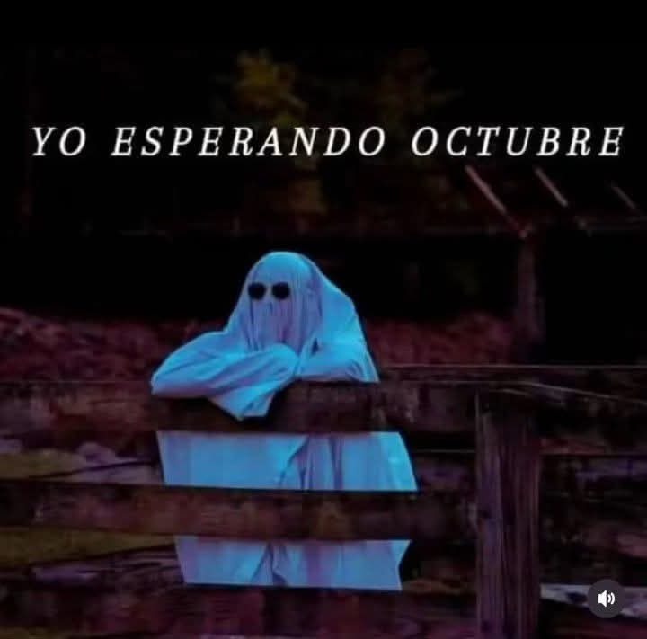 FB_IMG_1753068656326