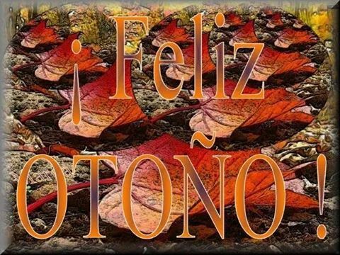 OTO2